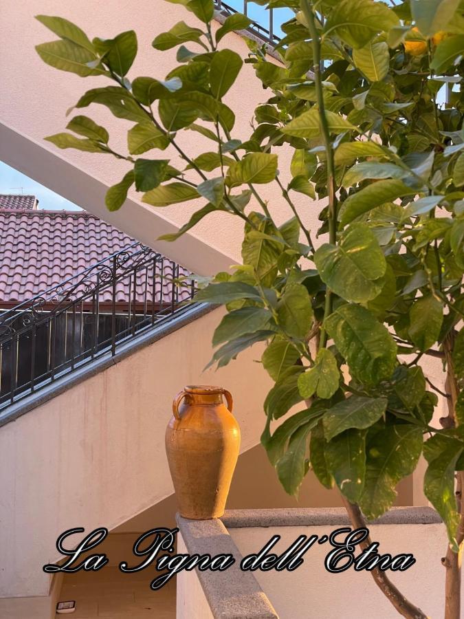 La Pigna Dell'Etna Apartamento Nicolosi Exterior foto