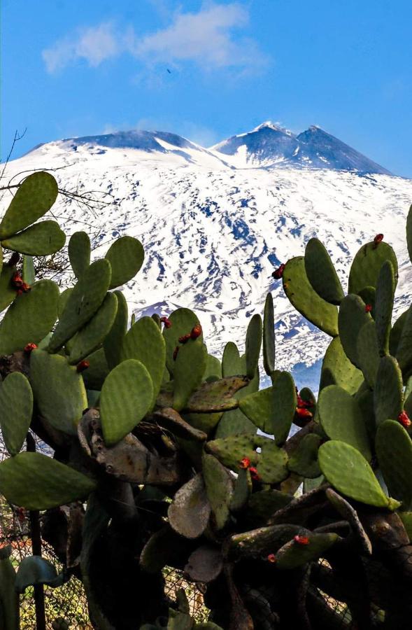 La Pigna Dell'Etna Apartamento Nicolosi Exterior foto